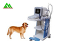 Портативный полный блок развертки ультразвука цифров ветеринарный для животного собаки Кав скотин поставщик